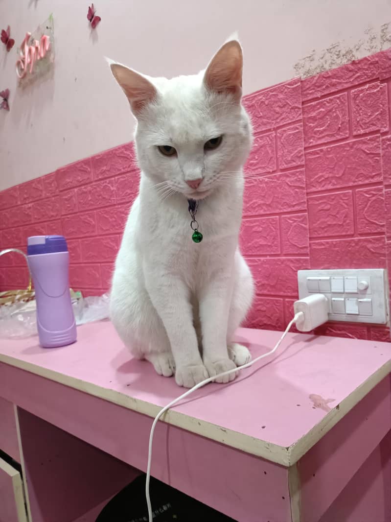 Vaccinated 5
