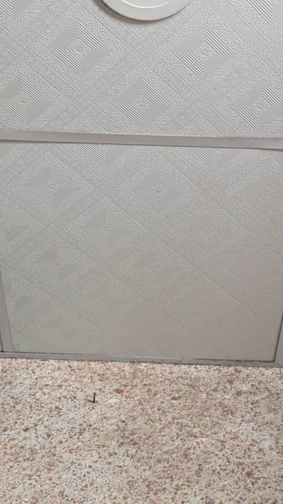 ceiling plates (chal)