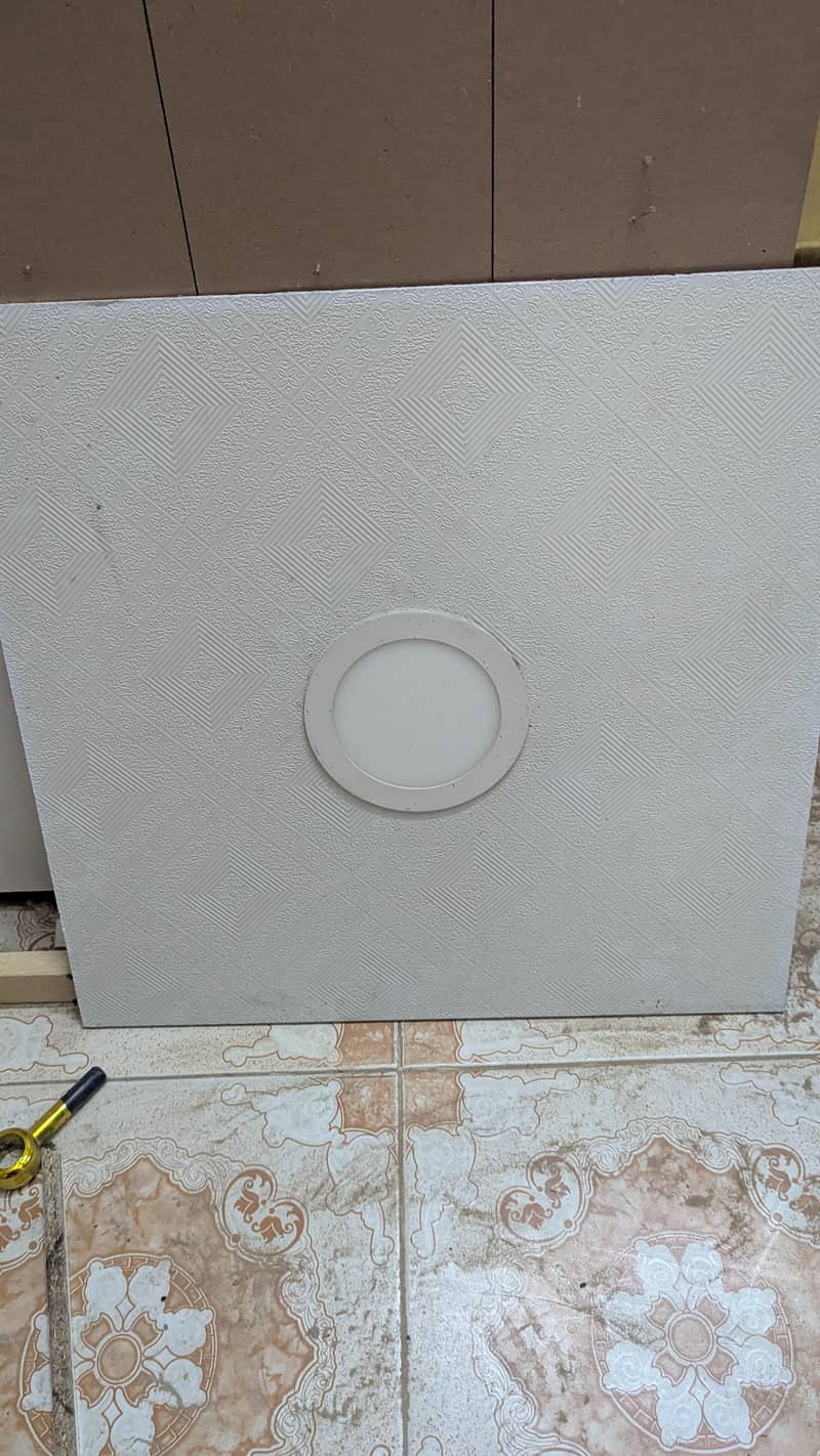 ceiling plates (chal) 1
