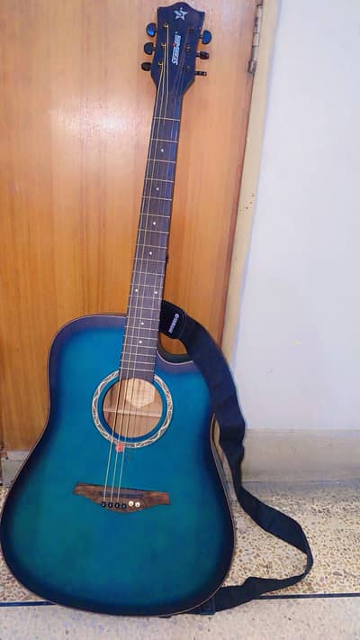 Wooden professional guitar