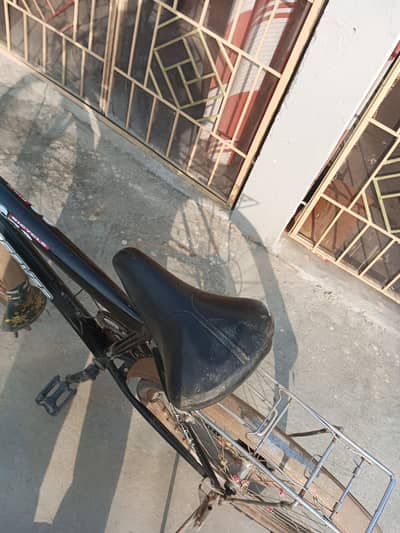 Mountain cycle for sale