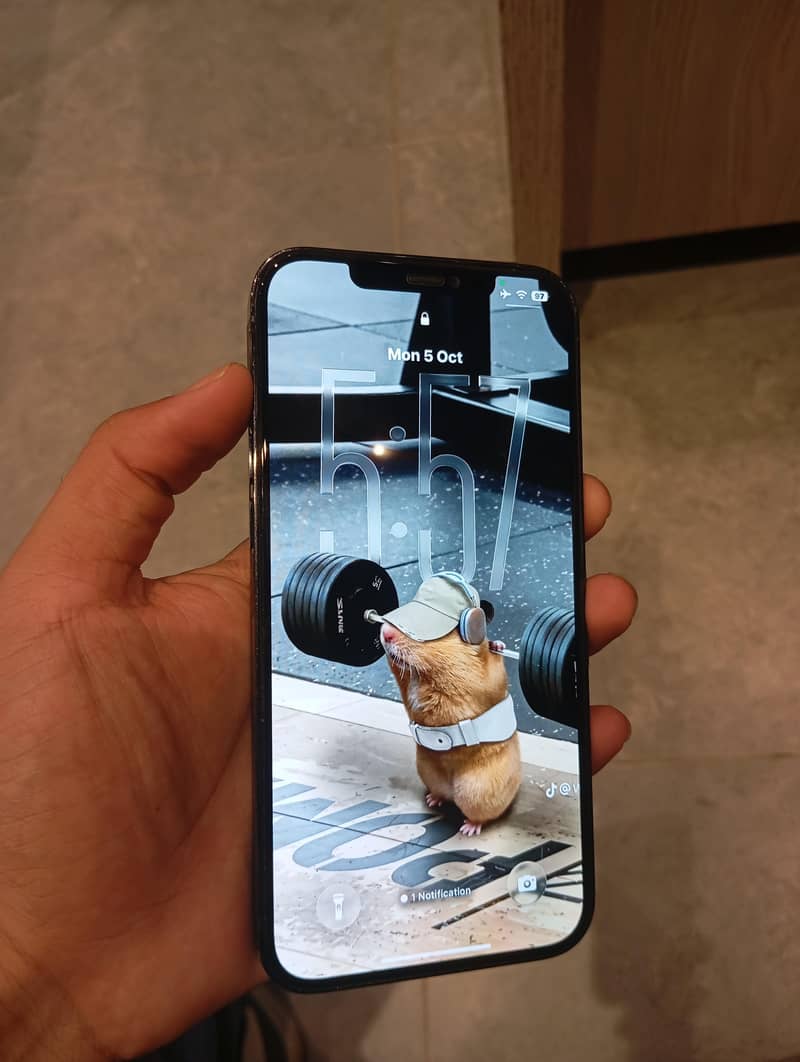 Apple iPhone 12 Pro Max 1