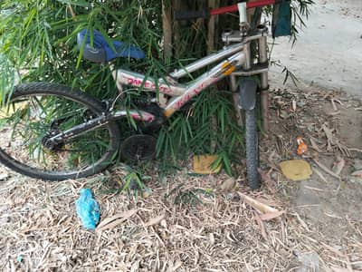 Used Bicycle for Sale – Excellent Condition