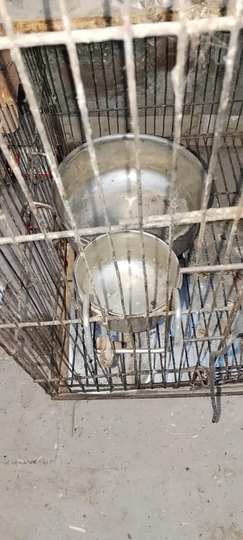 pingra — photo 2