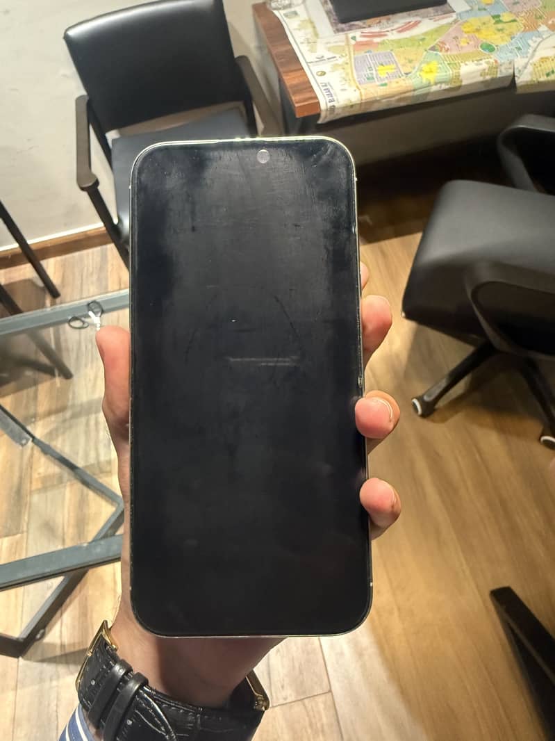Apple iPhone 16 Pro Max 1