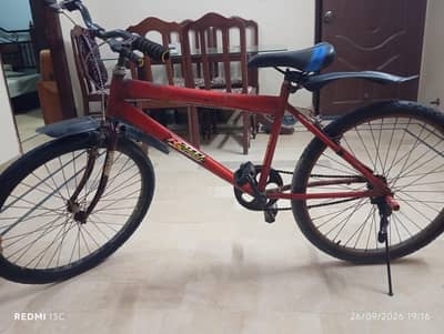 26 size cycle