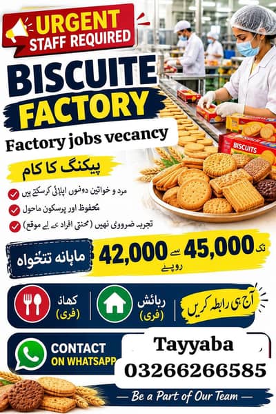 need staff biscuits packing factory jobs available in lahore