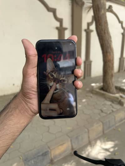 Apple iPhone 11