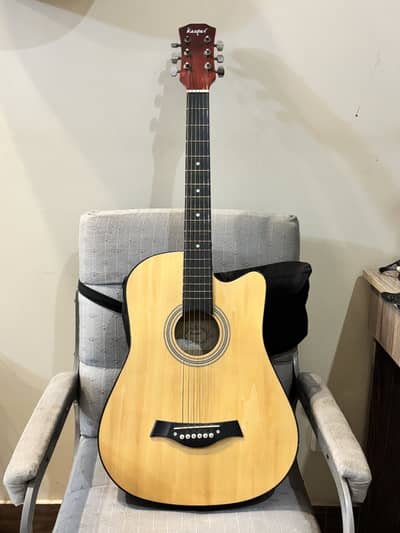 Kaspar beginners guitar