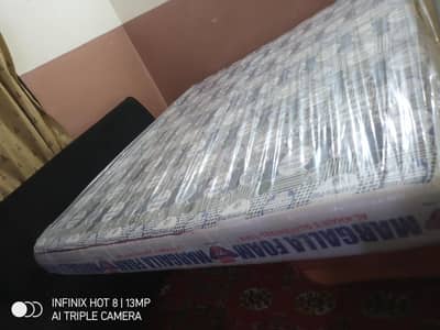 Mehran Molty Foam