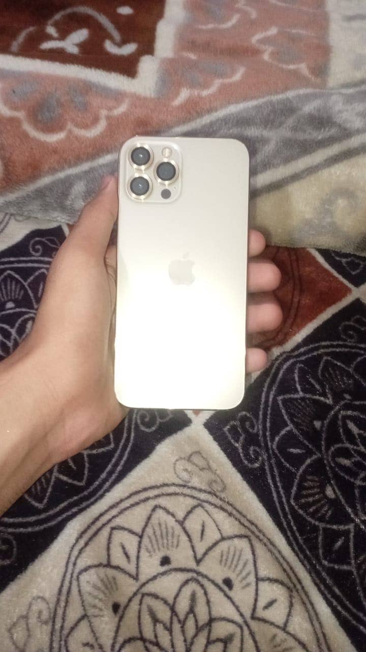 Apple iPhone 12 Pro Max 1