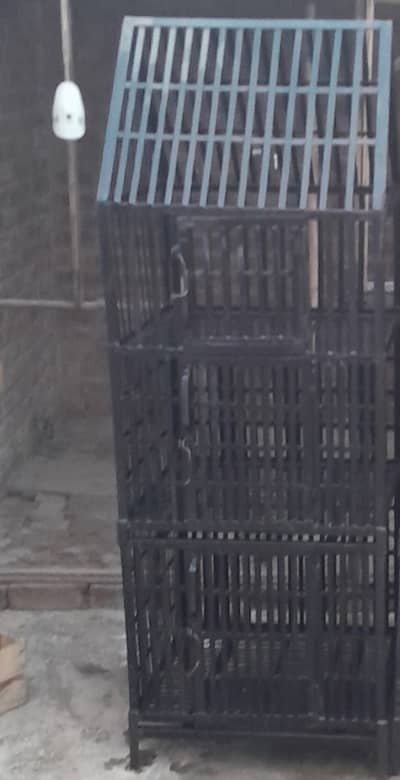 Solid Aseel hen cage 3 portion for sale
