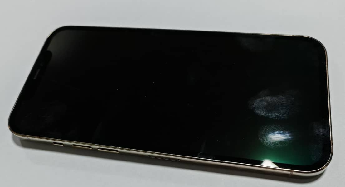 Apple iPhone 12 Pro Max 3