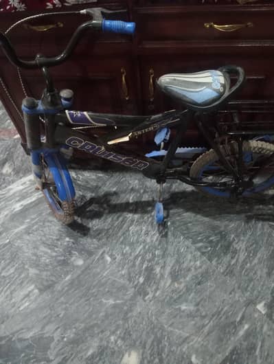 bachoa k Liya cycle