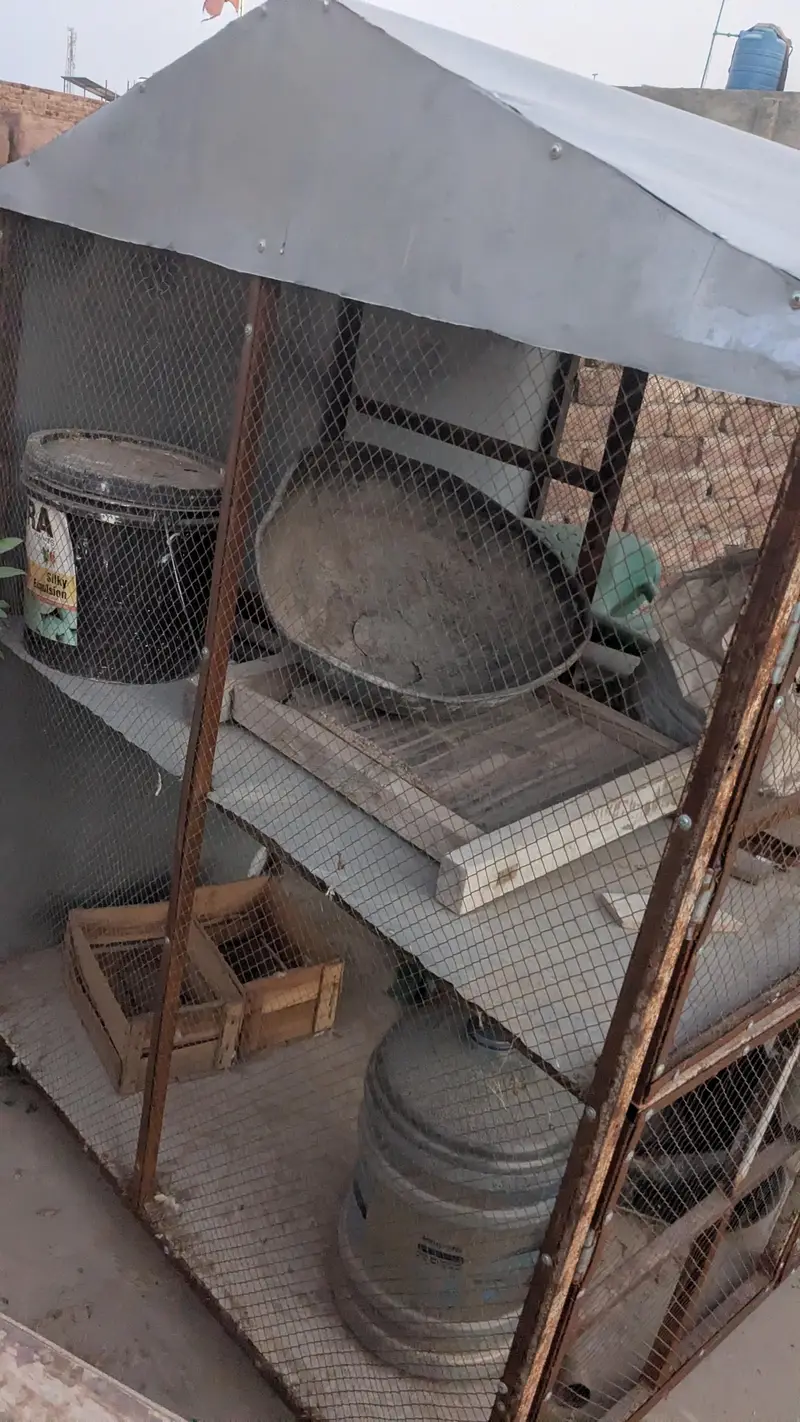 Cage for birds — photo 2