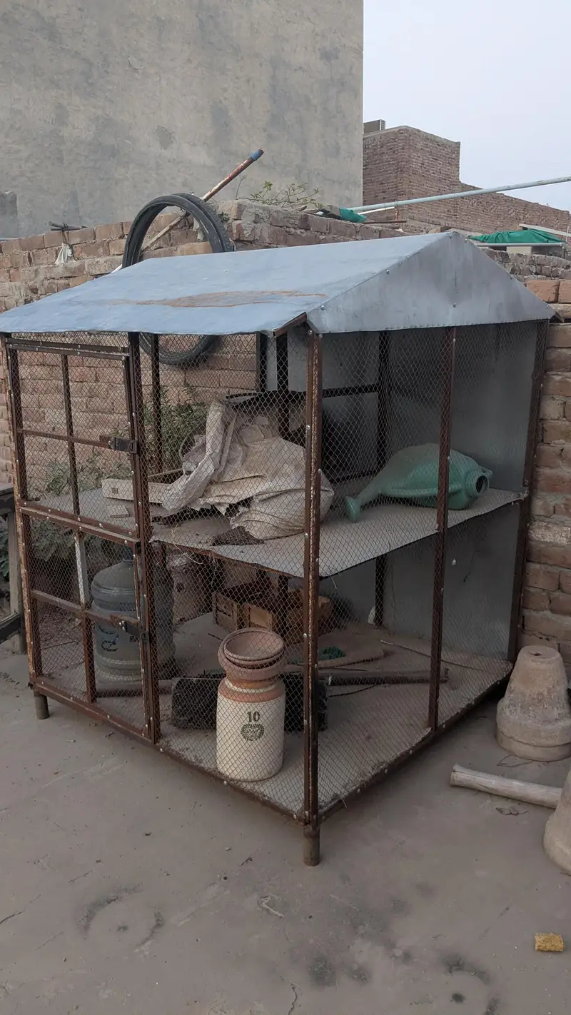 Cage for birds — photo 4