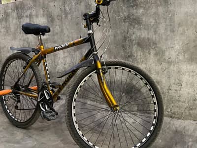 phoenix bicycle