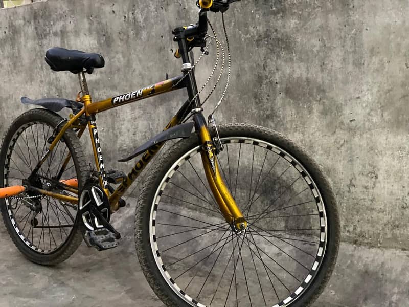 phoenix bicycle 0
