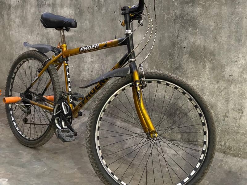 phoenix bicycle 1