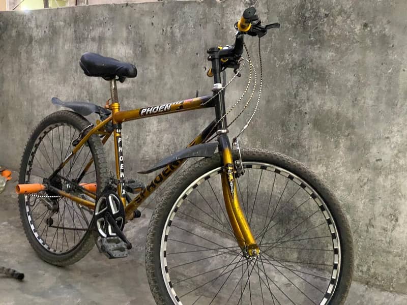 phoenix bicycle 4