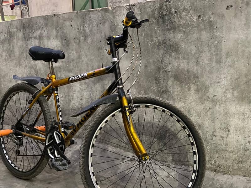 phoenix bicycle 5