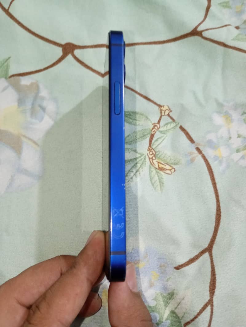 12 mini 2