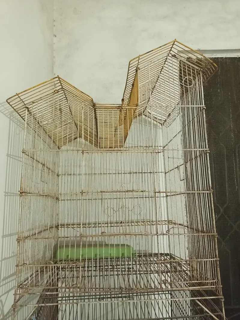 2 cages for sale — photo 3