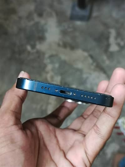 Apple iPhone 13 non pta jv