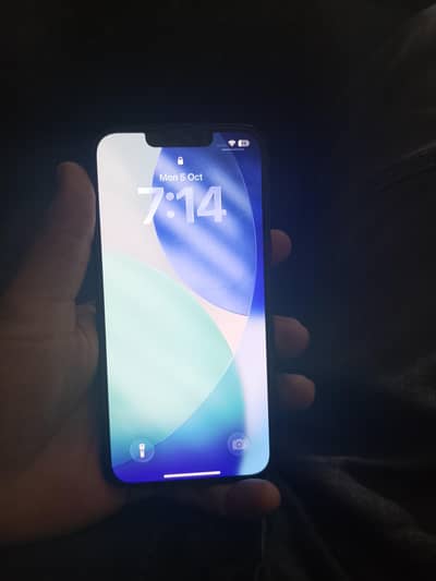 Apple iPhone 13