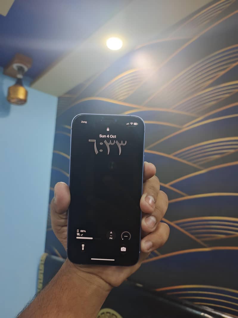 Apple iPhone 12 1