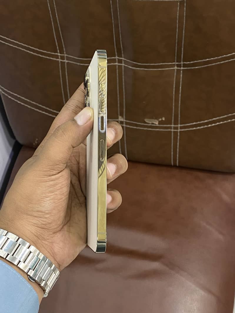 Apple iPhone 13 Pro Max 2