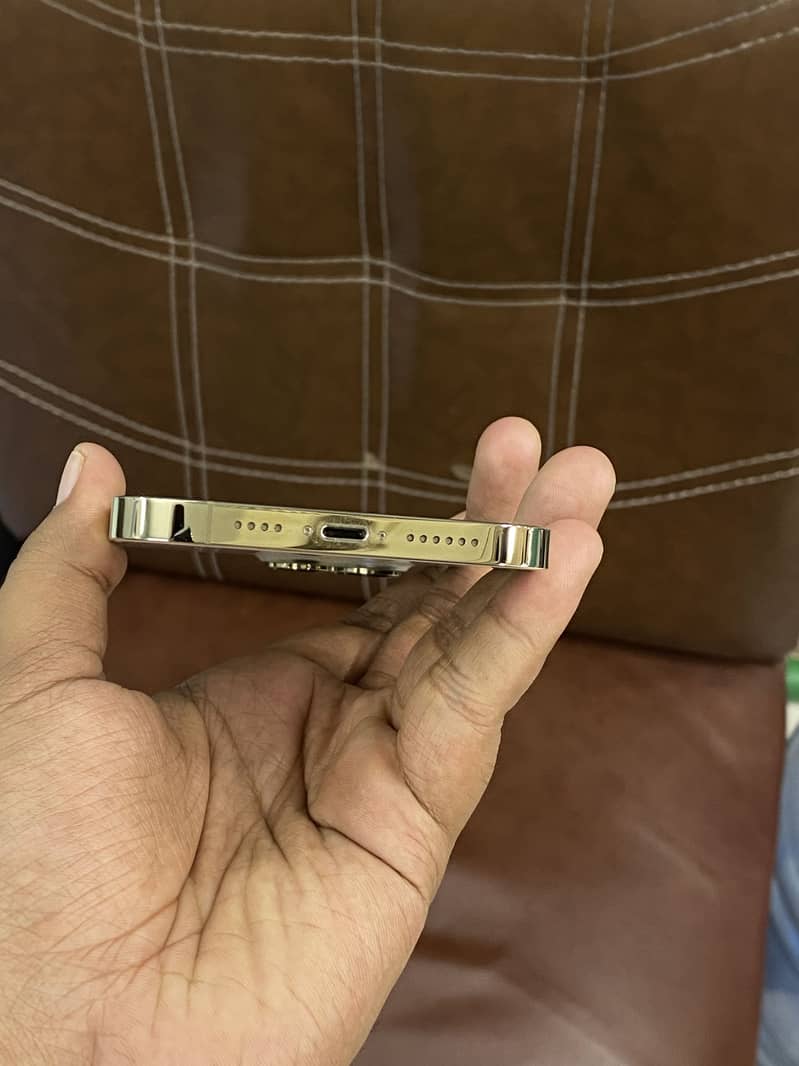 Apple iPhone 13 Pro Max 3