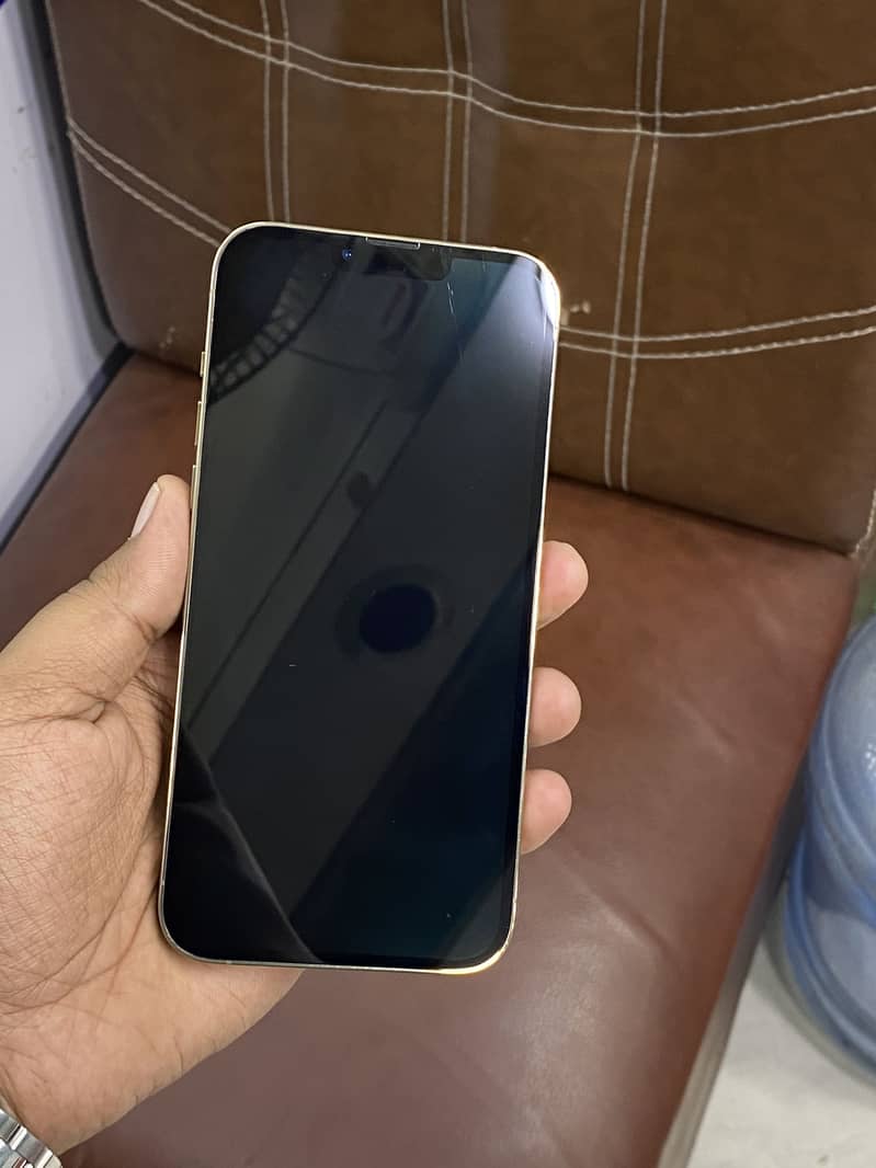 Apple iPhone 13 Pro Max 6