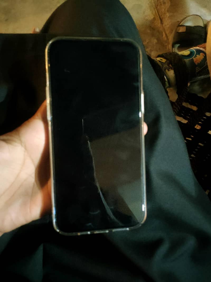 Apple iPhone 13 Pro Max 1