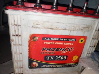 2 Phoenix TX-2500 tubular batteries