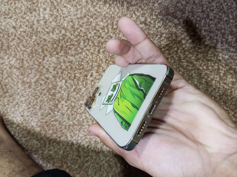 Apple iPhone 13 Pro Max 0