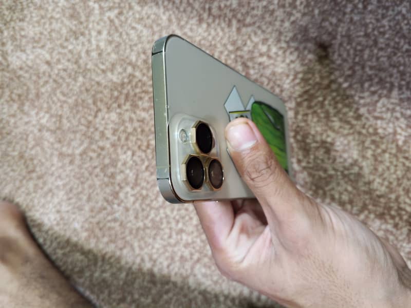 Apple iPhone 13 Pro Max 1