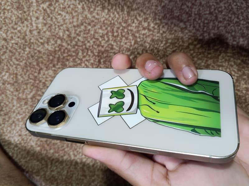Apple iPhone 13 Pro Max 2
