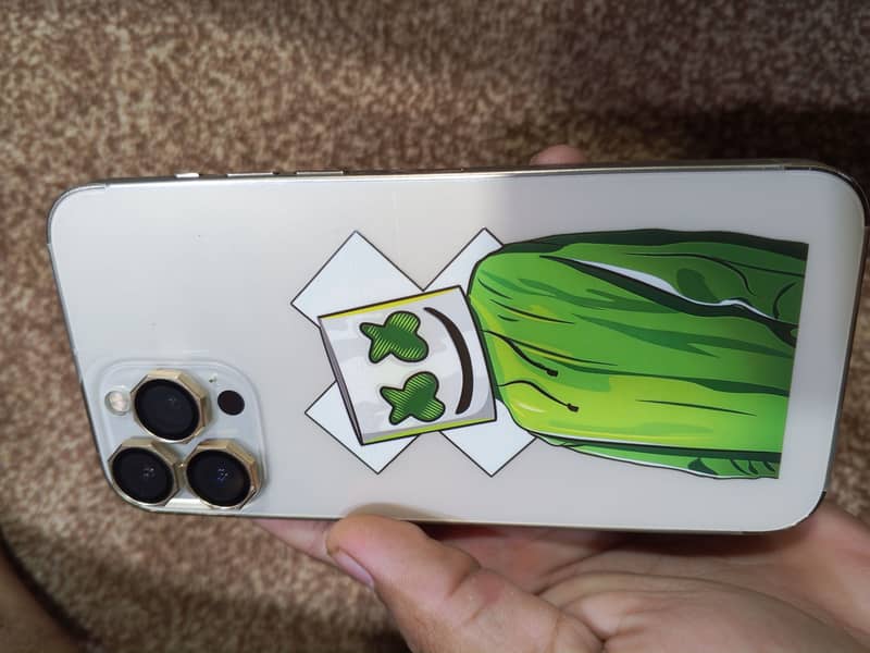 Apple iPhone 13 Pro Max 3