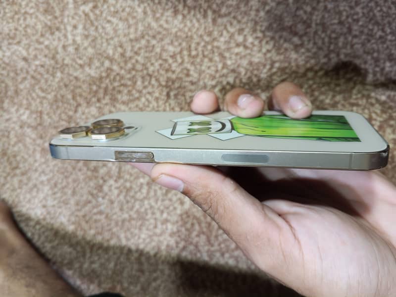 Apple iPhone 13 Pro Max 4