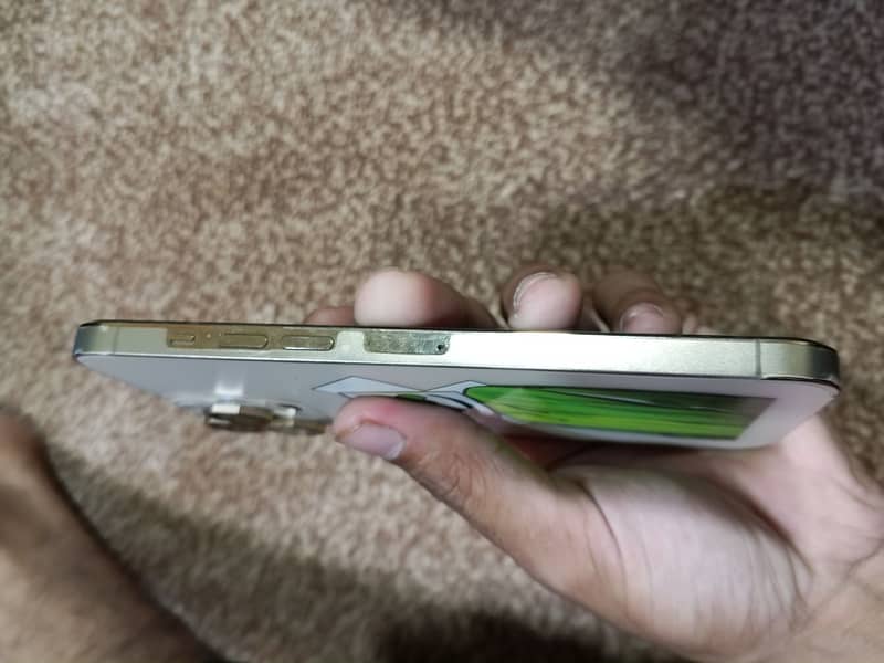 Apple iPhone 13 Pro Max 5