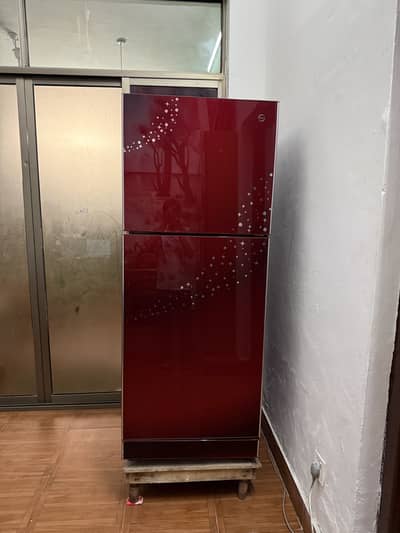 PEL Glass Door Refrigerator