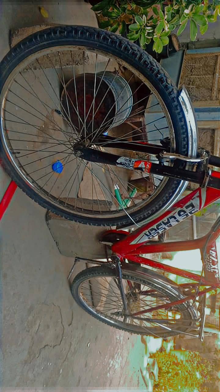 bicycle 0