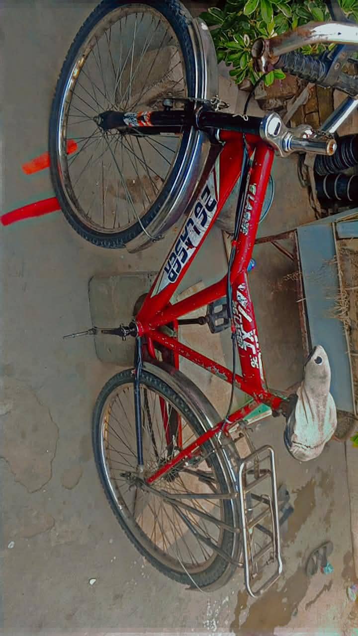 bicycle 1