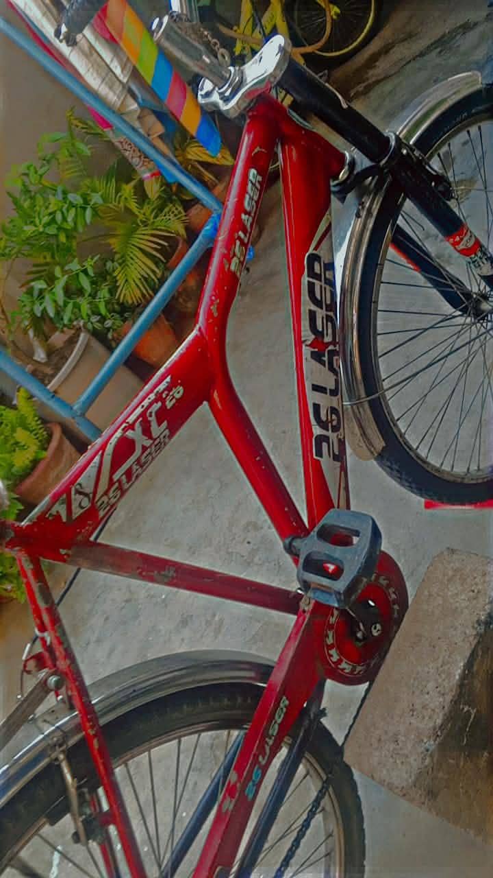 bicycle 2