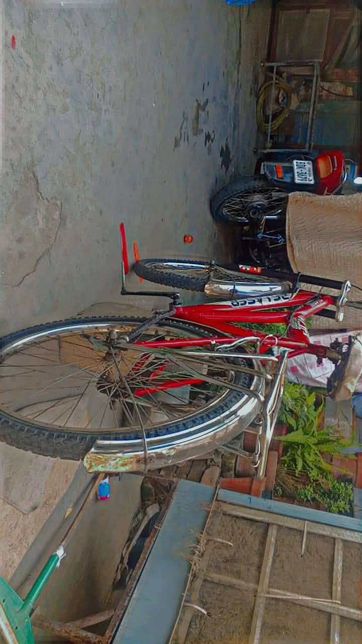 bicycle 4