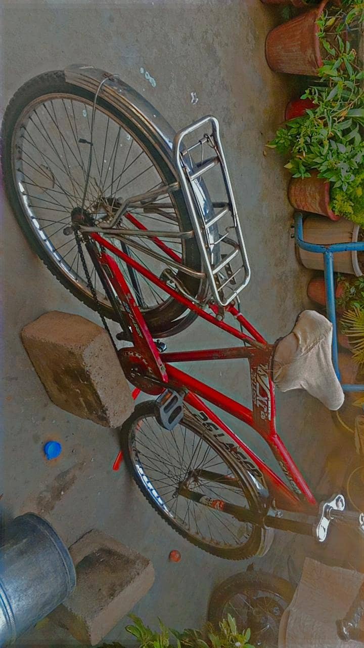 bicycle 6