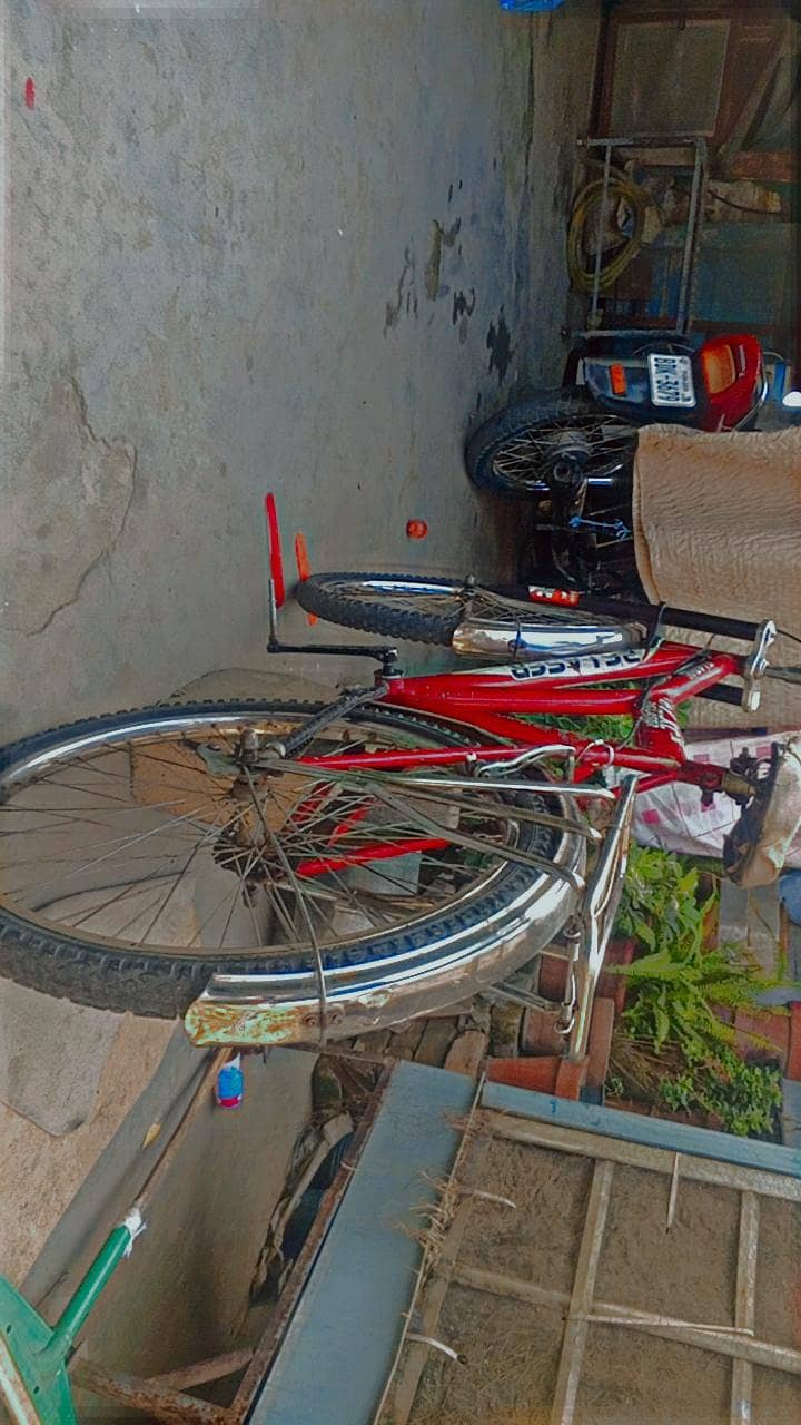 bicycle 7