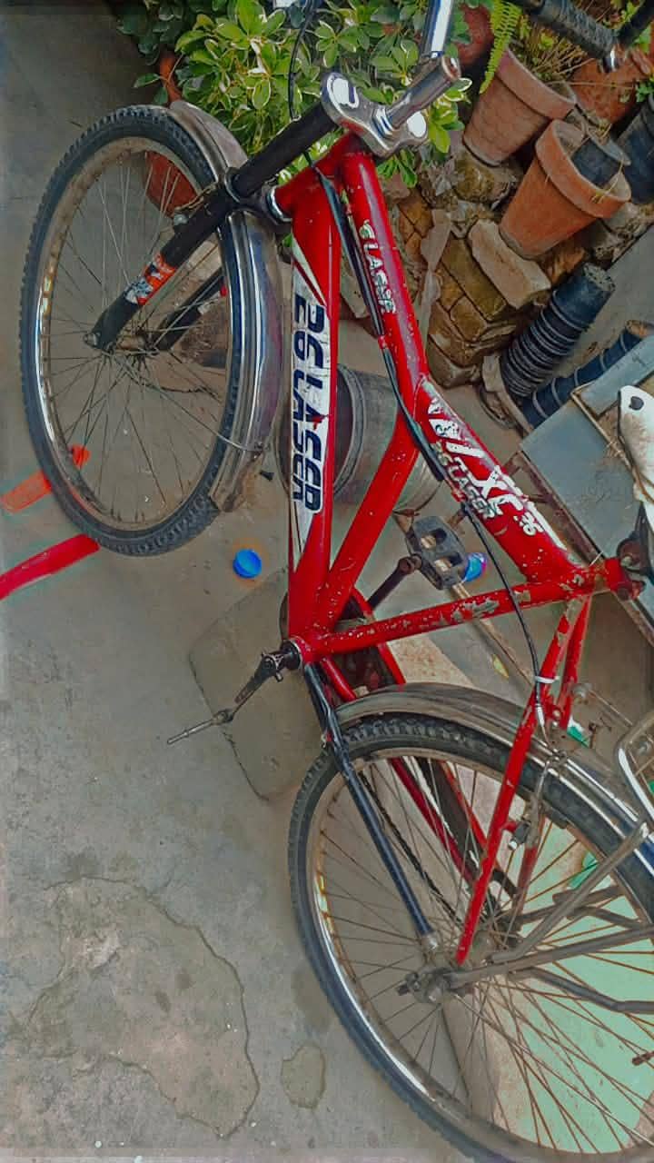 bicycle 8