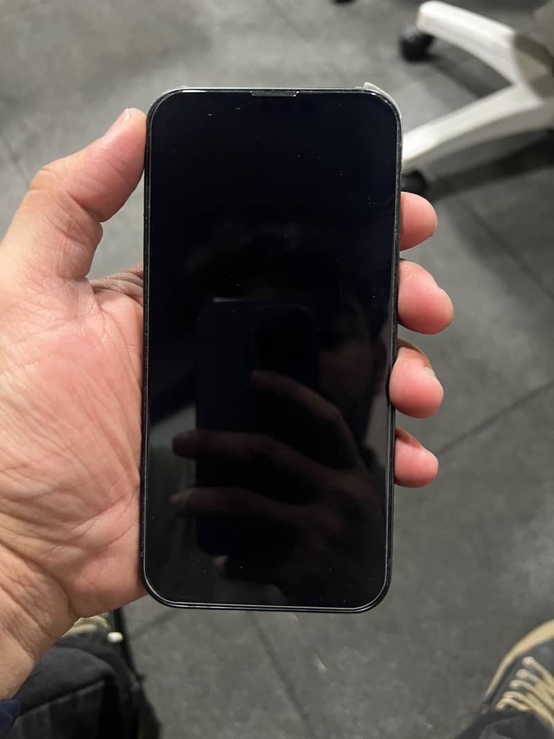 Apple iPhone 13 0